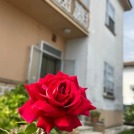 Residenze Rodari